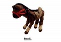 Pferd